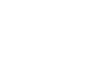 Evolution games at Spin Zilla Casino